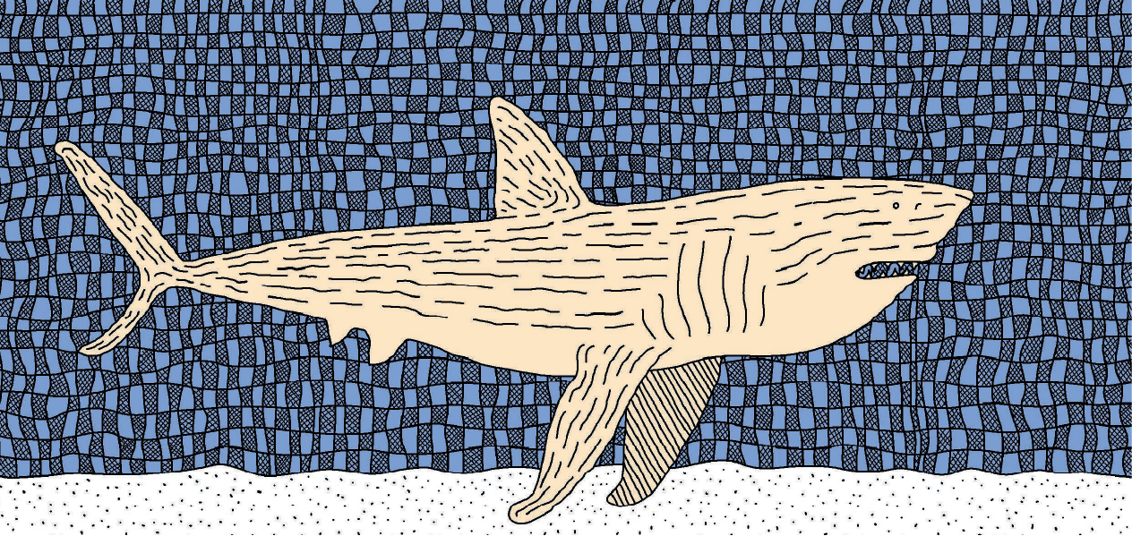 Ілюстрацыя мегаладона